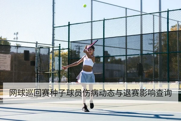 网球巡回赛种子球员伤病动态与退赛影响查询