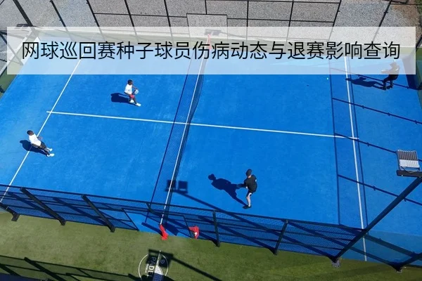 网球巡回赛种子球员伤病动态与退赛影响查询